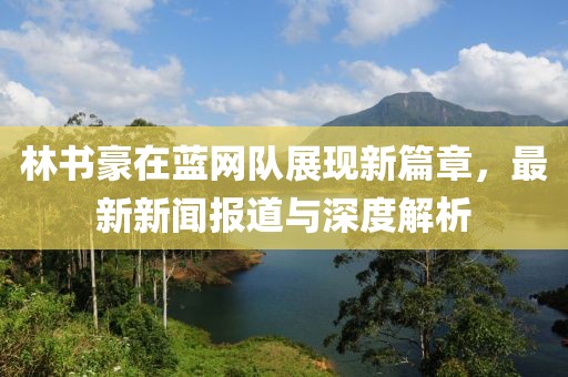 林書豪在藍(lán)網(wǎng)隊(duì)展現(xiàn)新篇章，最新新聞報(bào)道與深度解析