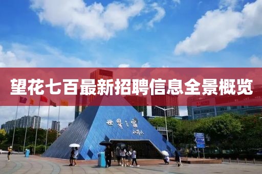 望花七百最新招聘信息全景概覽