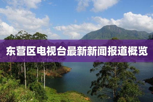 東營區(qū)電視臺最新新聞報道概覽