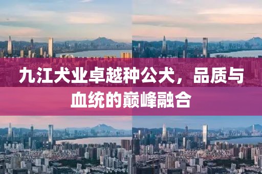 九江犬業(yè)卓越種公犬，品質(zhì)與血統(tǒng)的巔峰融合