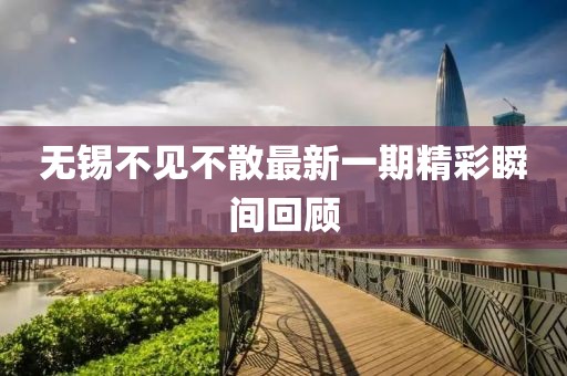 無錫不見不散最新一期精彩瞬間回顧