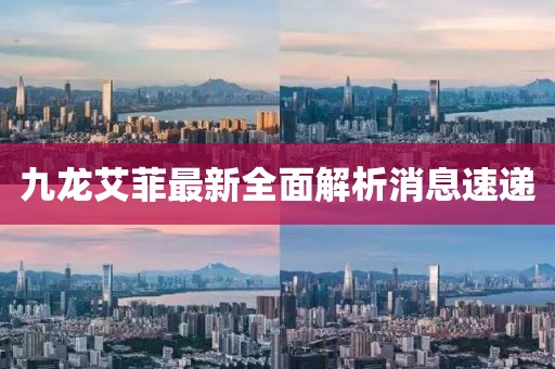 九龍艾菲最新全面解析消息速遞