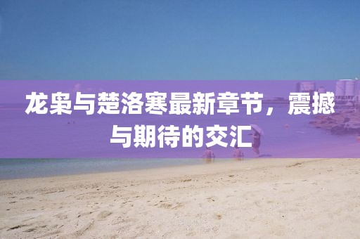 龍梟與楚洛寒最新章節(jié)，震撼與期待的交匯