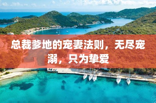 總裁爹地的寵妻法則，無盡寵溺，只為摯愛