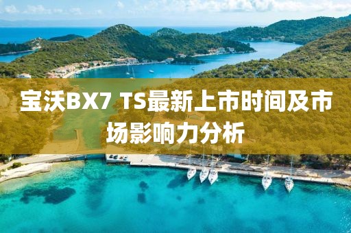 寶沃BX7 TS最新上市時(shí)間及市場影響力分析