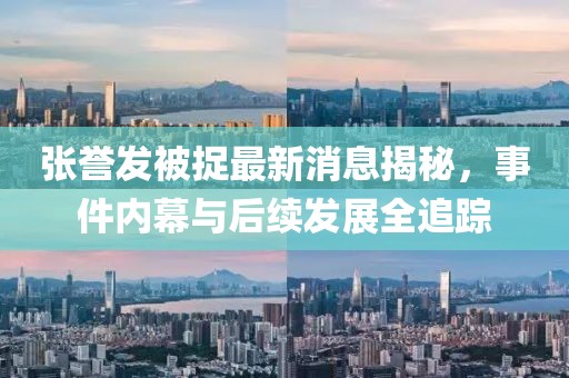 張譽(yù)發(fā)被捉最新消息揭秘，事件內(nèi)幕與后續(xù)發(fā)展全追蹤