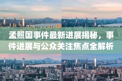 孟照國事件最新進(jìn)展揭秘，事件進(jìn)展與公眾關(guān)注焦點(diǎn)全解析