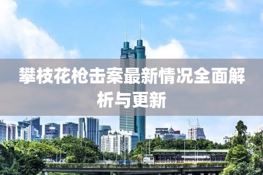 攀枝花槍擊案最新情況全面解析與更新