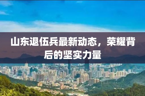 山東退伍兵最新動態(tài)，榮耀背后的堅實力量