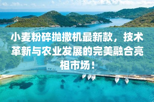 小麥粉碎拋撒機最新款，技術(shù)革新與農(nóng)業(yè)發(fā)展的完美融合亮相市場！
