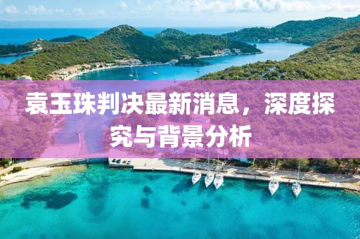 袁玉珠判決最新消息，深度探究與背景分析