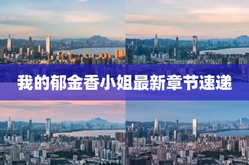 我的郁金香小姐最新章節(jié)速遞