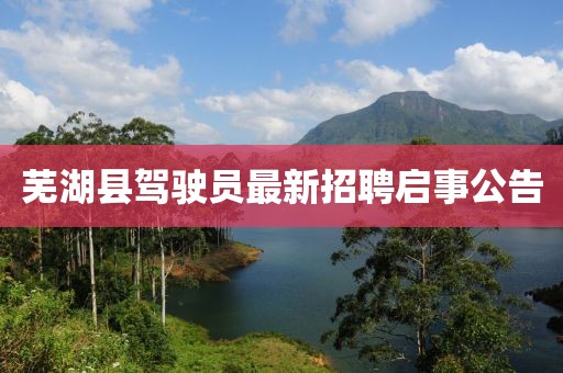 蕪湖縣駕駛員最新招聘啟事公告