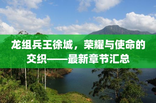龍組兵王徐城，榮耀與使命的交織——最新章節(jié)匯總