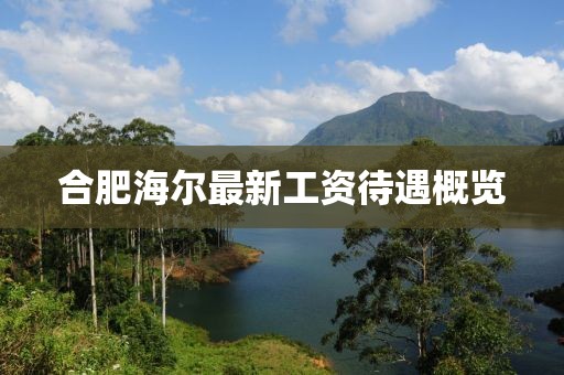 合肥海爾最新工資待遇概覽