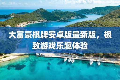 大富豪棋牌安卓版最新版，極致游戲樂趣體驗(yàn)