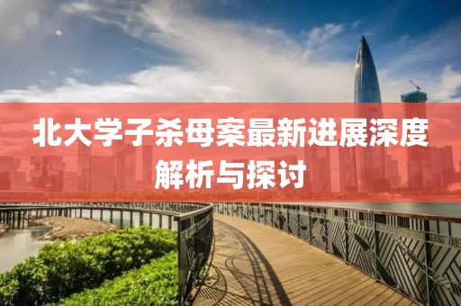 北大學(xué)子殺母案最新進(jìn)展深度解析與探討