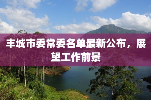 豐城市委常委名單最新公布，展望工作前景
