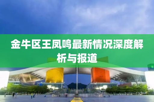 金牛區(qū)王鳳鳴最新情況深度解析與報(bào)道