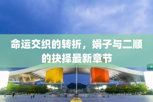 命運(yùn)交織的轉(zhuǎn)折，娟子與二順的抉擇最新章節(jié)