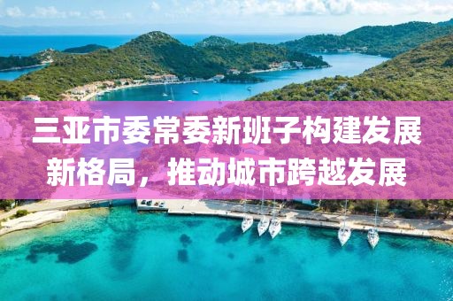 三亞市委常委新班子構(gòu)建發(fā)展新格局，推動(dòng)城市跨越發(fā)展
