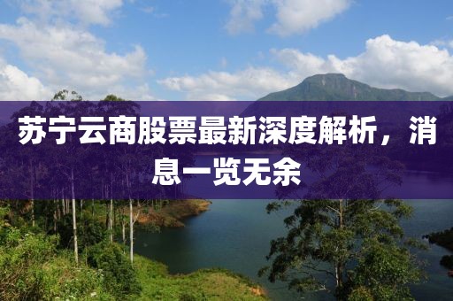 蘇寧云商股票最新深度解析，消息一覽無余