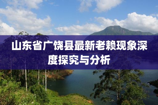 山東省廣饒縣最新老賴現(xiàn)象深度探究與分析