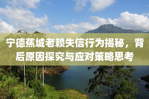 寧德蕉城老賴失信行為揭秘，背后原因探究與應(yīng)對策略思考