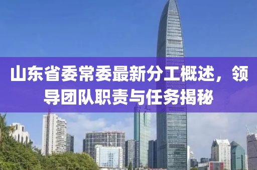 山東省委常委最新分工概述，領(lǐng)導(dǎo)團(tuán)隊(duì)職責(zé)與任務(wù)揭秘