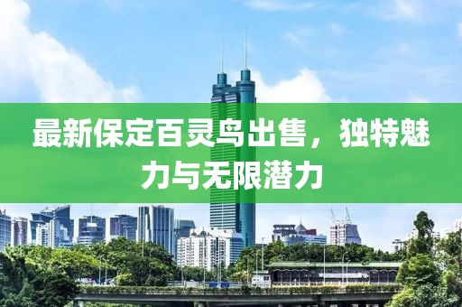 最新保定百靈鳥出售，獨(dú)特魅力與無限潛力