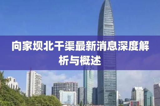 向家壩北干渠最新消息深度解析與概述