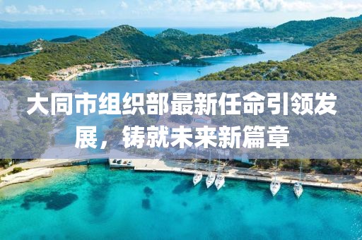 大同市組織部最新任命引領(lǐng)發(fā)展，鑄就未來新篇章