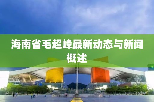 海南省毛超峰最新動(dòng)態(tài)與新聞概述