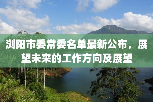 瀏陽市委常委名單最新公布，展望未來的工作方向及展望
