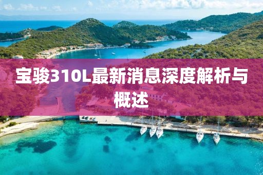 寶駿310L最新消息深度解析與概述