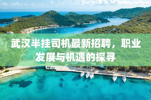 武漢半掛司機(jī)最新招聘，職業(yè)發(fā)展與機(jī)遇的探尋