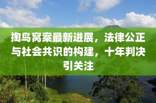 掏鳥窩案最新進展，法律公正與社會共識的構(gòu)建，十年判決引關注