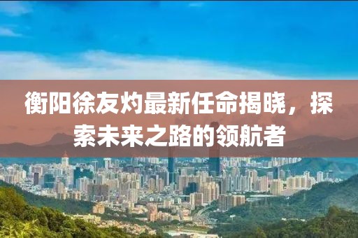 衡陽徐友灼最新任命揭曉，探索未來之路的領(lǐng)航者