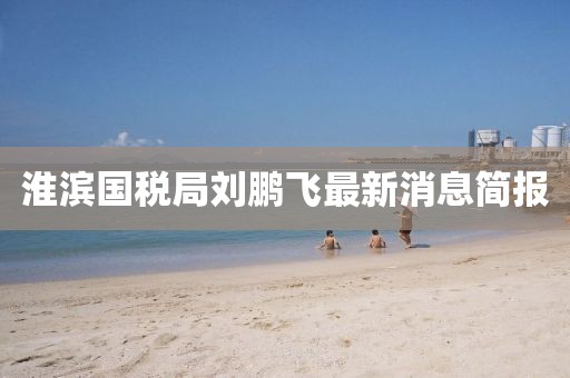 淮濱國(guó)稅局劉鵬飛最新消息簡(jiǎn)報(bào)