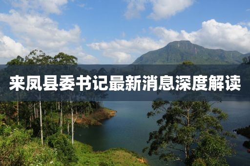 來鳳縣委書記最新消息深度解讀