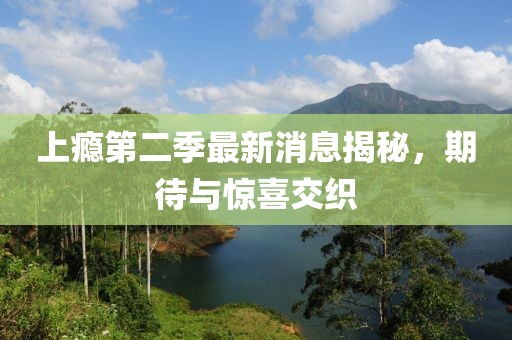 2025年4月6日 第8頁