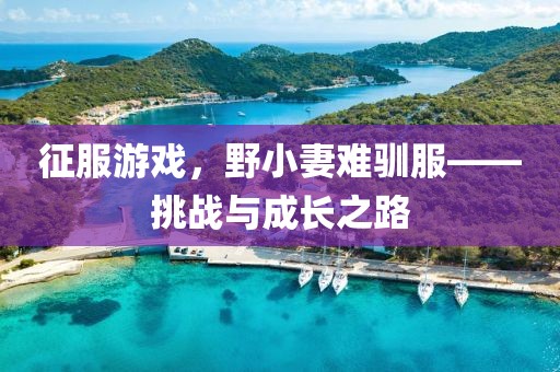 征服游戲，野小妻難馴服——挑戰(zhàn)與成長之路
