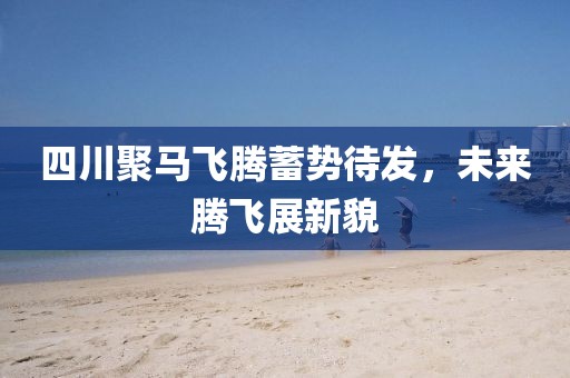 四川聚馬飛騰蓄勢待發(fā)，未來騰飛展新貌