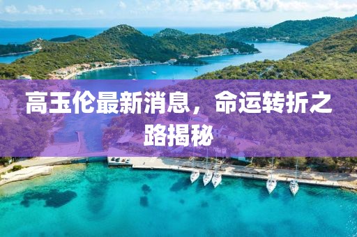 高玉倫最新消息，命運(yùn)轉(zhuǎn)折之路揭秘