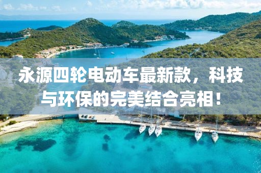 永源四輪電動(dòng)車最新款，科技與環(huán)保的完美結(jié)合亮相！