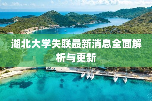 湖北大學失聯(lián)最新消息全面解析與更新
