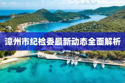 漳州市紀檢委最新動態(tài)全面解析