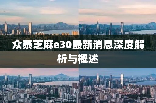 眾泰芝麻e30最新消息深度解析與概述