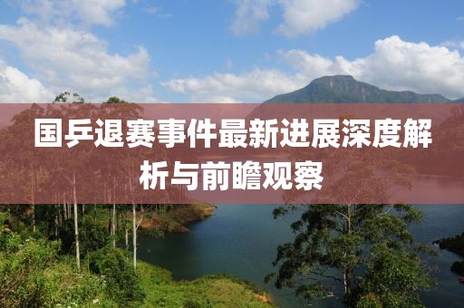 國乒退賽事件最新進展深度解析與前瞻觀察