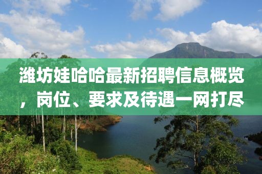 濰坊娃哈哈最新招聘信息概覽，崗位、要求及待遇一網(wǎng)打盡